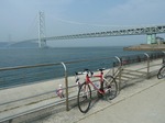 P1030755.jpg